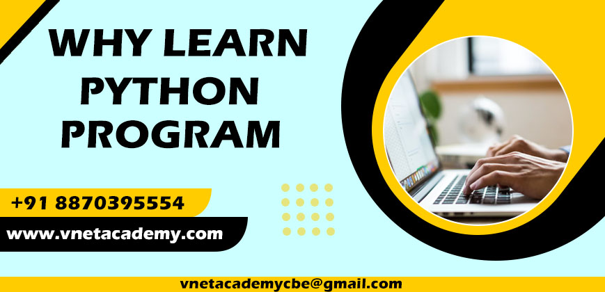 top-12-reason-for-why-you-learn-python-programming-in-2024